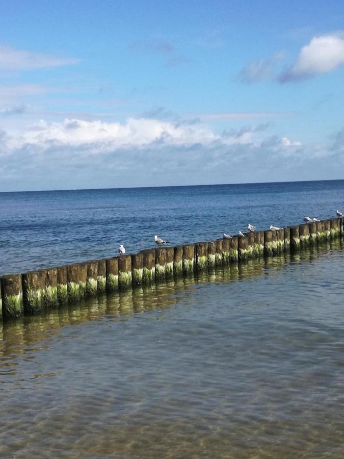 Ferienbungalow Ancora In Koserow Exteriör bild